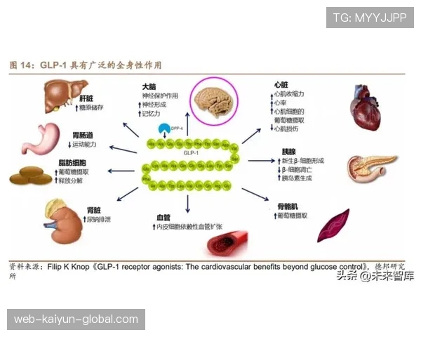 贝尔纳多本赛季组织核心作用与表现稳定性分析